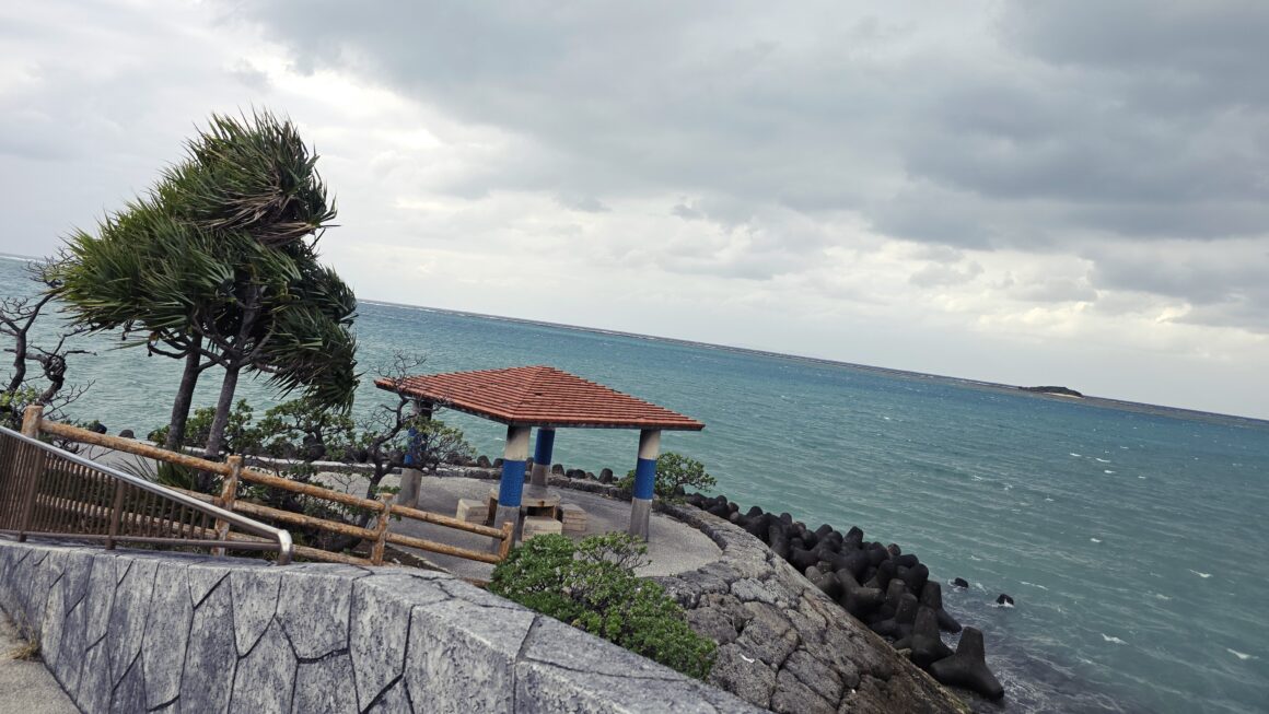 外出強化月間と、ハト