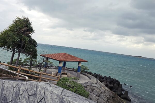 外出強化月間と、ハト